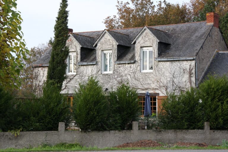 08 - desvallées (2)